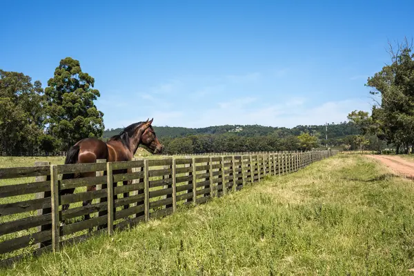 Is Sisters, Oregon a Good Location to Buy a Horse Property?